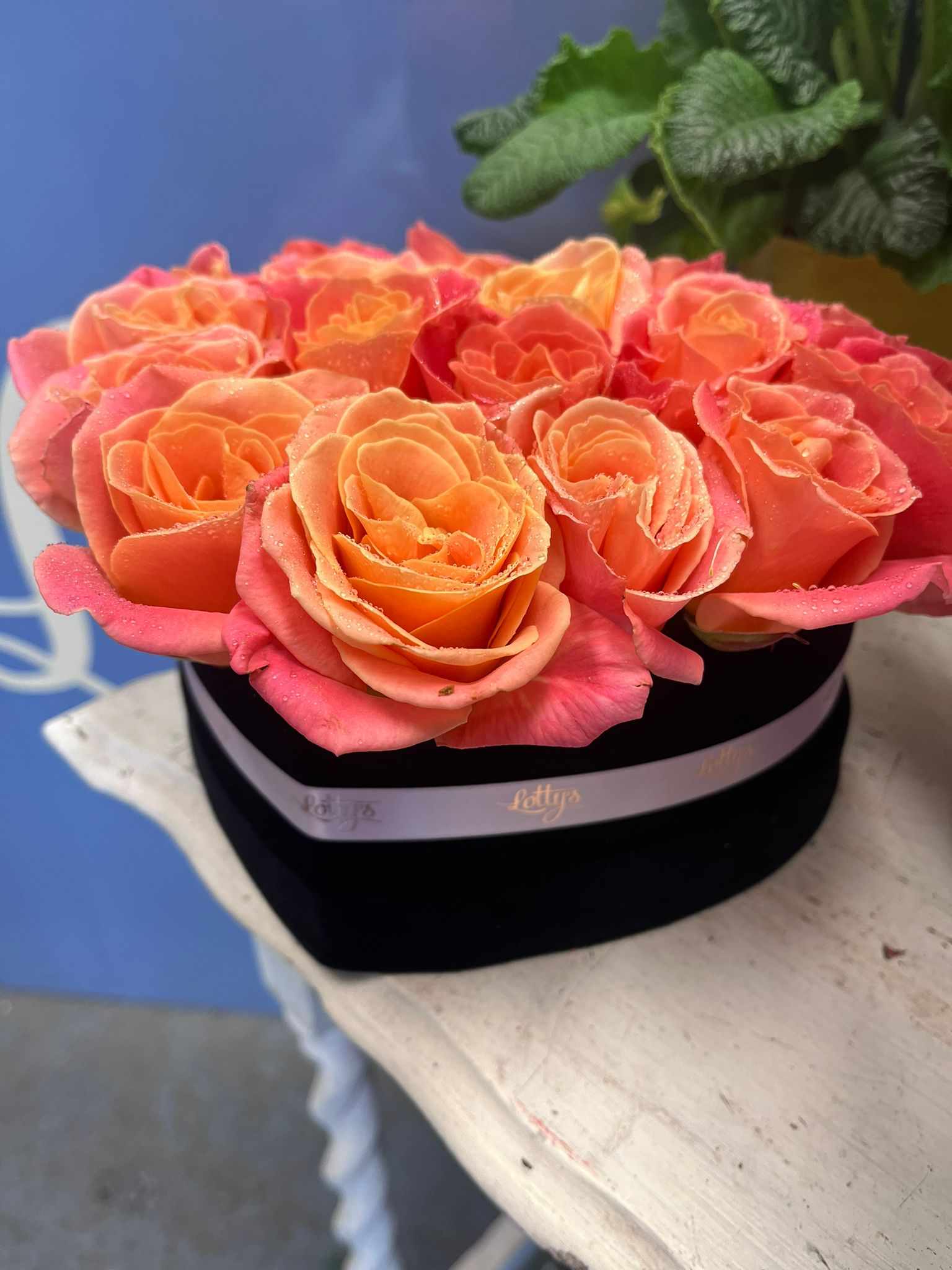 The Ravishing Rose Hatbox